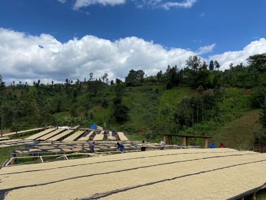 Rwanda COOPAC - Kabirizi - Nganzo