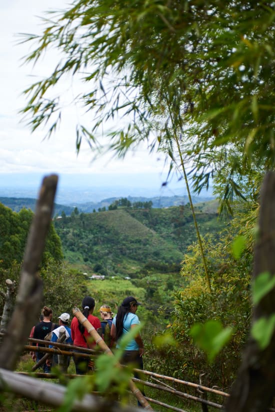 COLOMBIA Women Producer Program