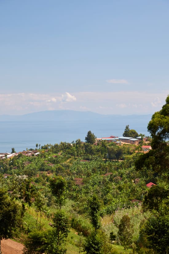 Rwanda COOPAC - Kabirizi - Nganzo