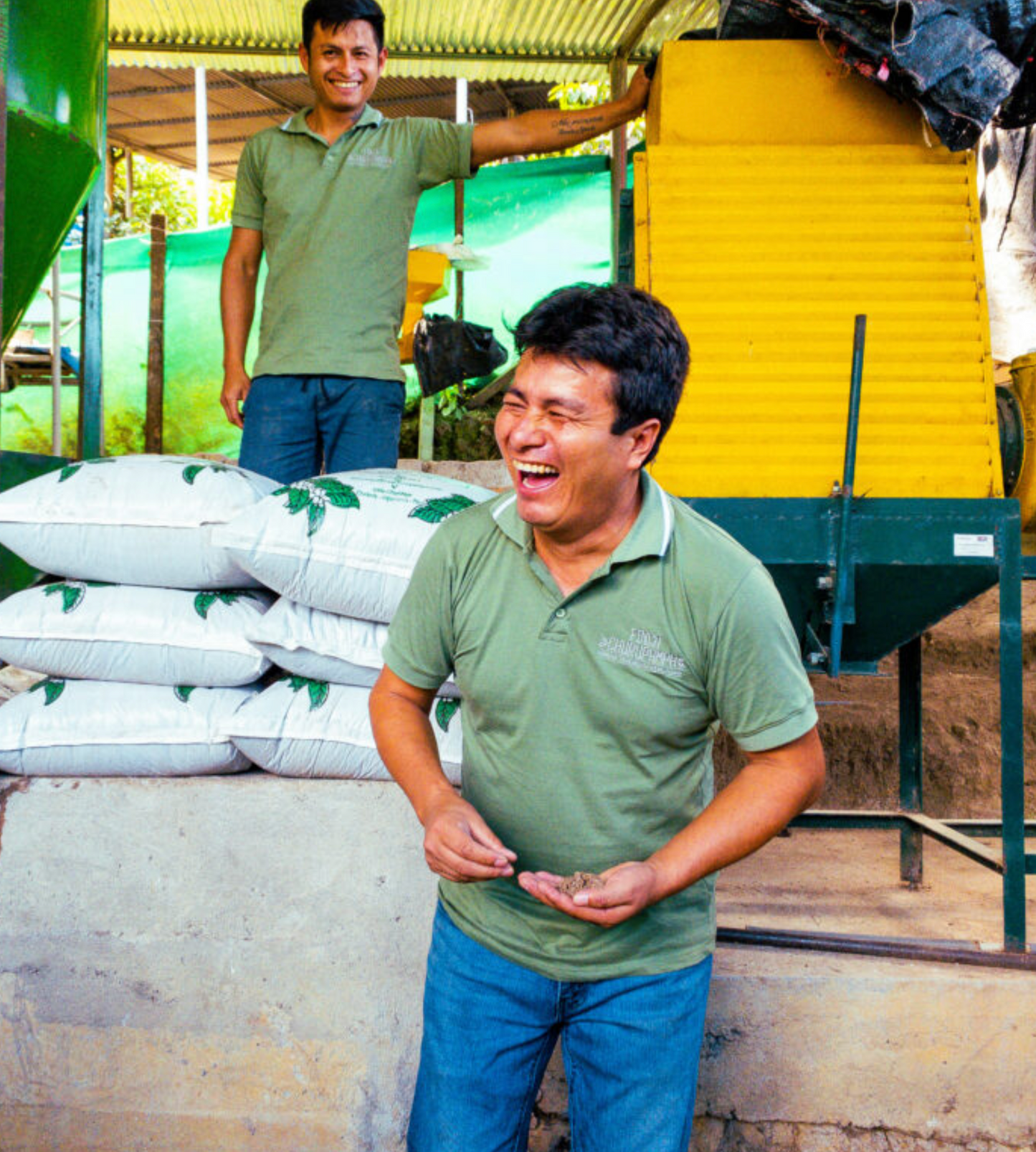 Decaf Peru