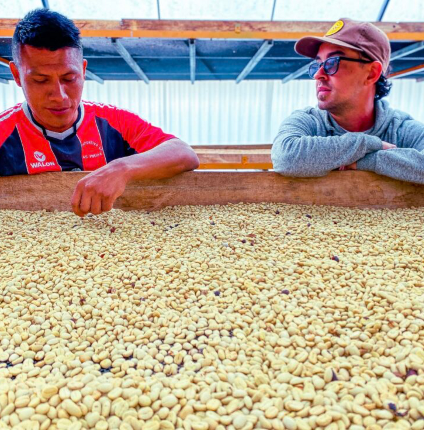 Decaf Peru
