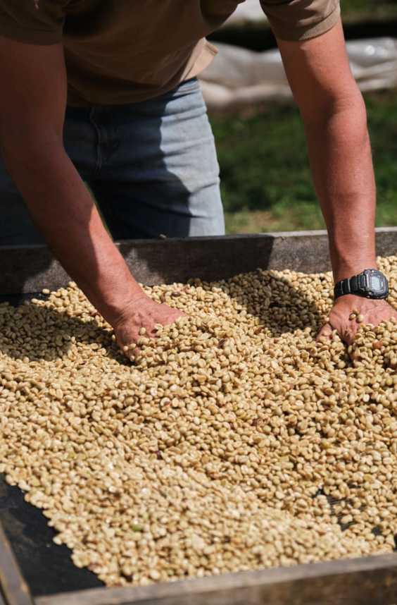 Costa Rica-CERRO SAN LUIS