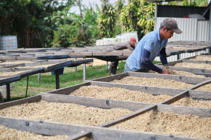 Costa Rica-CERRO SAN LUIS